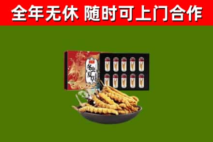 大英县烟酒回收冬虫夏草礼盒.jpg
